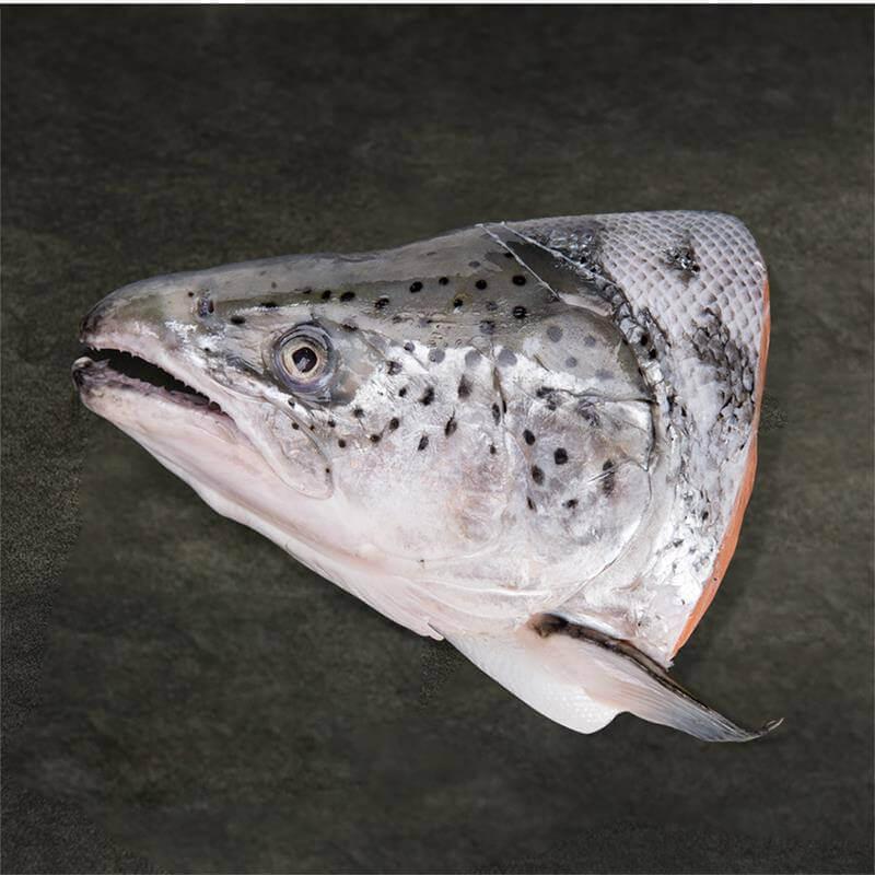 Đầu cá hồi (Salmon)
